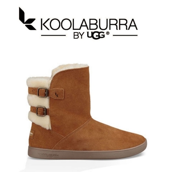 UGG Shoes - NIB UGG Koolaburra Boots Amarah in Chestnut